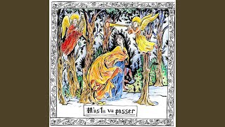 M'as-tu Vu Passer? Lyrics English Translation