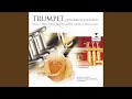 Sonata A 6 For Trumpet And Strings In C Major T So 1 I Grave