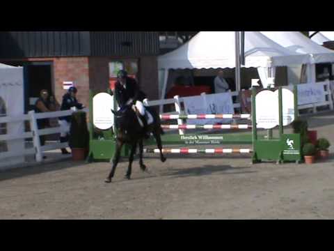 ZAMINTA - Cormint x Alboretto, Geb. 2007, Holsteiner Stute