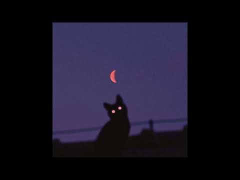 Video thumbnail for living through a thousand cuts.