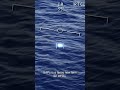 NASA holds public address about UFO sightings