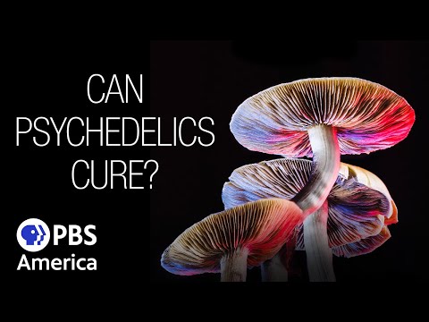 Can Psychedelics Cure? (2022) | Full Documentary | NOVA