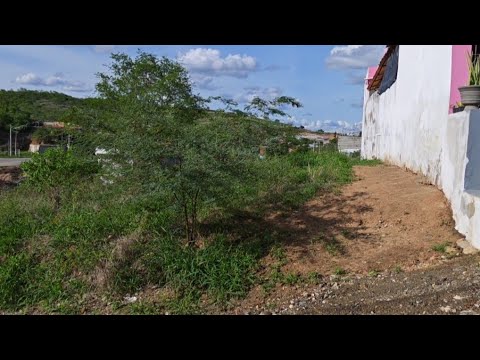 Oportunidade: Vende-se Terreno em Passira, Pernambuco 