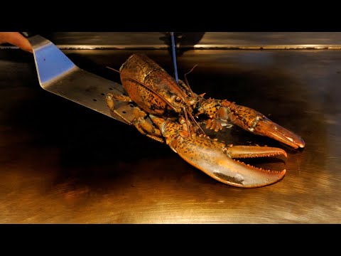 Variety Seafood Teppanyaki, King Size Red Lobster