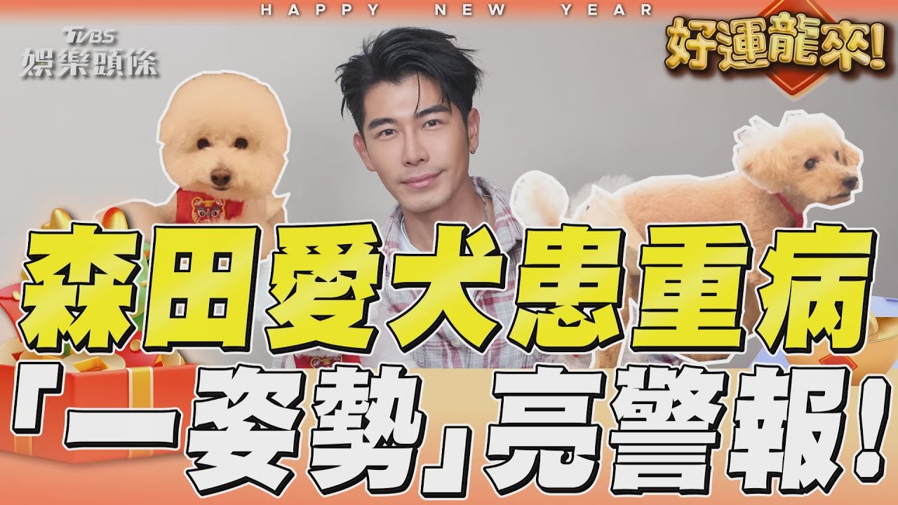 影音/森田愛犬罹胰臟炎「祭禁令」 「一姿勢」定格24hr嚇傻!