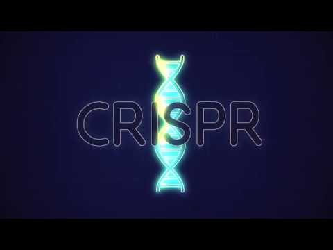 How CRISPR works, explained in two minutes