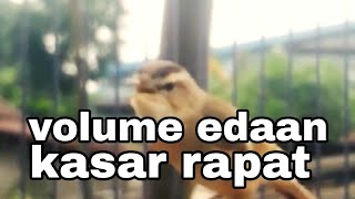 Download lagu KERAK BASI GACOR DOR mp3