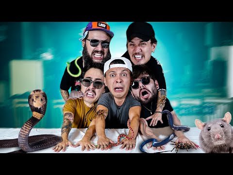 É PROIBIDO SE MEXER! 🐍🕷️ (ft. YOUTUBERS DAS ANTIGAS) *REPOST*