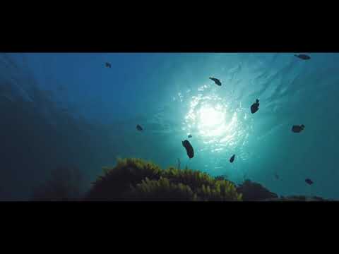 Laidback Black ft. Rafi & Funkchillaz - Z Głębi Oceanu (prod. RTN)