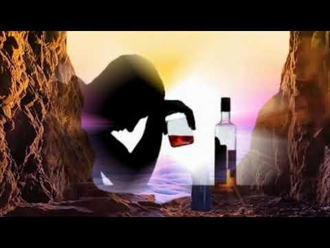 Hóa thạch Sheet - Từ Công Phụng