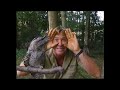 The Wiggles Wiggly Safari 2002 Part 12