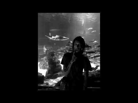 [FREE] KIZARU x TVETH x MOSQUIT TYPE BEAT 2022 - "Stonehead"