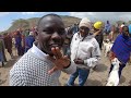 The 20 000 000 Exotic Animal Market In Tanzania