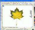 Scrollsaw Patterns en Corel Draw