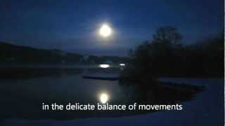 Mary   Chapin Carpenter  -  Dancing In The Dark