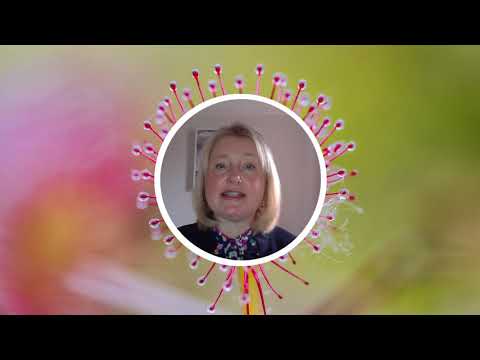 GDPR and data privacy | Managing Investigations video series - Episode #7