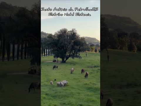 SANTO ANTÔNIO DA PATRULHA-RS #sul #interiorgaucho ##campanhagaucha #culturagaúcha #shorts