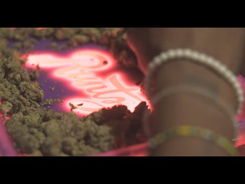 LoLo Marley - Really Raw 2 (Official Visual) #CLPSZN #ClipstarTV