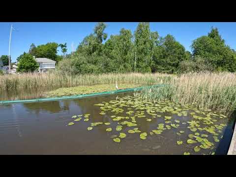 Trehörningen, Huddinge 🇸🇪