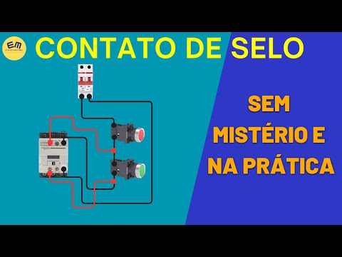 CONTATO DE SELO   Tudo o que Você Precisa Saber!