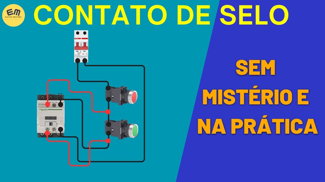CONTATO DE SELO   Tudo o que Você Precisa Saber!