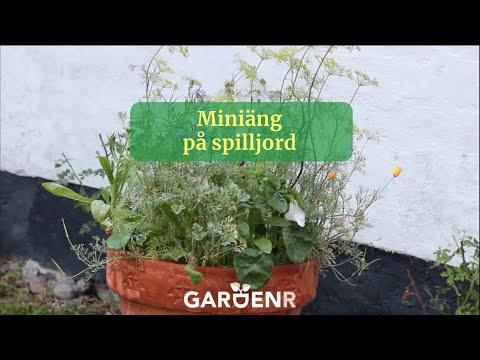 Miniäng på spilljord - Trädgårdshacks med GardenR