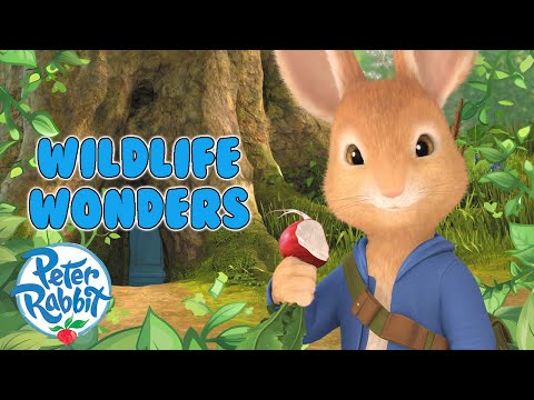 @OfficialPeterRabbit | 🌺 🌱 Peter In Wonderful Wildlife 🌲🐰 | 20+ Mins | Cartoon for Kids