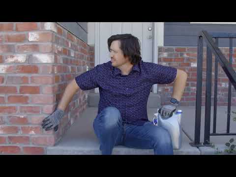 Pest Facts (Probably) — DIY — Saela Pest Control