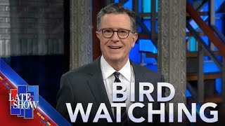 Thumbnail del capítulo