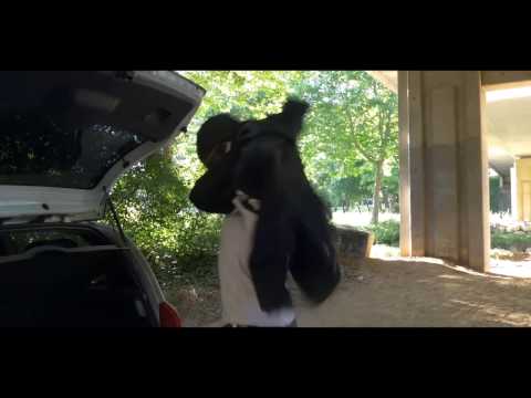 F2F - Élégant (clip officiel)