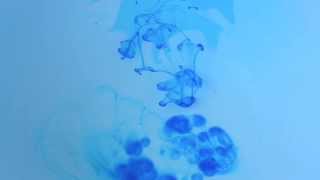 "Trio" - Jean-René MOUROT (Piano Solo) - Oriane BLANDEL [CLIP]