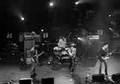cash cow : we are scientists feat alex turner ...