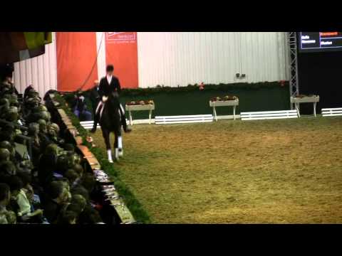 Destano - 05/02/2011