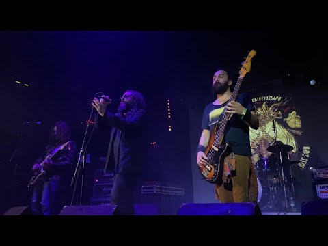 King Sapo - Insomnios (Live) Sala Caracol | Madrid