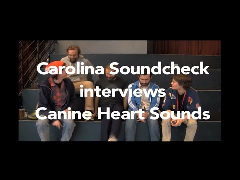 Canine Heart Sounds Interview [Art of Cool Fest 2015]