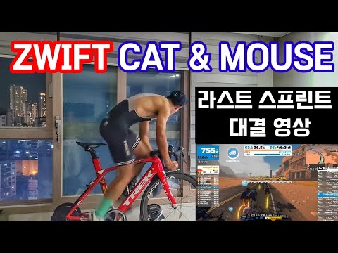 즈위프트 캣앤마우스 라스트 2km  스프린트 영상 / ZWIFT Korea Cat&Mouse Last Sprints