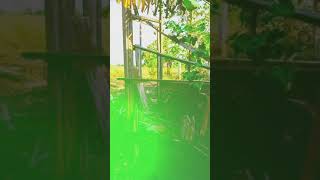 Download lagu STORY WA 'PUING' ( IWAN FALS ) https://youtu.be/AvaIa8qqyNU mp3