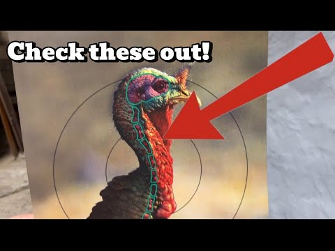 Birchwood Casey® Dirty Bird 12 x 18 Inch Reactive Target Combo Pack