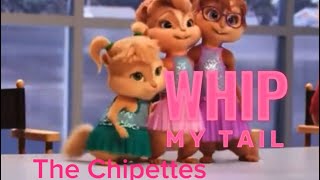 Whip My Hair: Chipettes