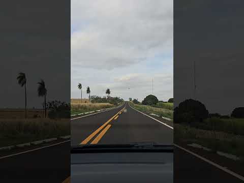 Na Estrada: BR-060 entre Nioaque e Sidrolândia (MS) 🚗 / #estrada #shorts