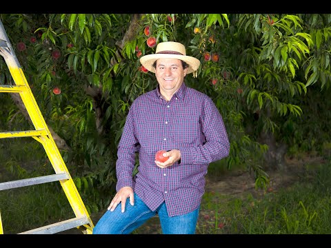 2018 Gains on CA Ranch with AEA Regenerative Systems