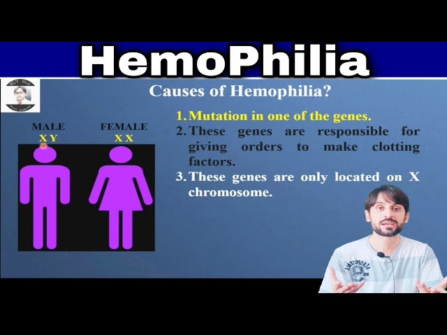 Videouttalande av hemophilia Engelska