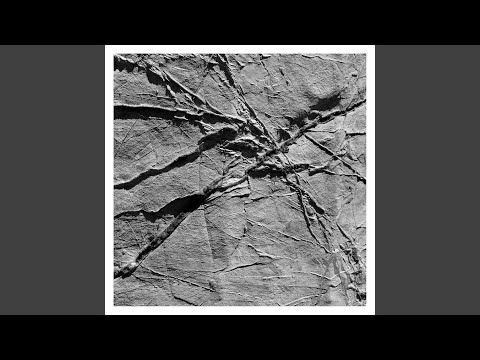 Pamphile of Epidaurus ≈ 1 AD