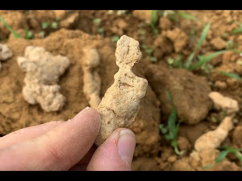 Förster Klaus - Waldgruß #55 - Löß-Püppchen