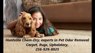 preview picture of video 'Huntsville Chem-Dry Pet Odor Removal Experts'