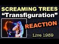 Reaction: Screaming Trees "Transfiguration" Live 1989