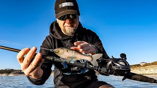 Testing Swimbaits (Trick Shad vs Chad Shad) and Throwing Crankbaits in Windy Conditions