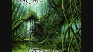 5 - Hemkomst - Månegarm - Urminnes Hävd - The Forest Sessions