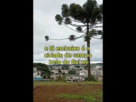 Campobelo do Sul  Santa Catarina @paznaterra-rh9fk #automobile #santacaterina#brasil#douglas