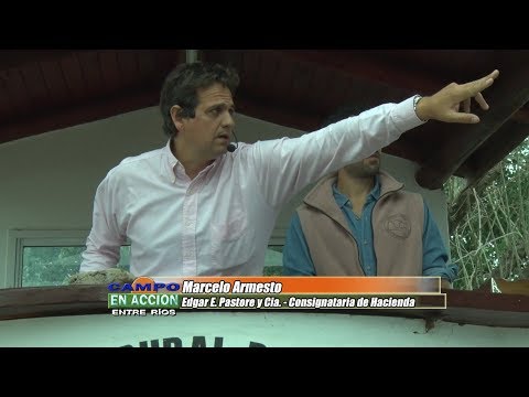Cabaña Bototi Picú Prepara su Remate Anual - Marcelo Armesto